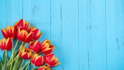 5 Tips to Update Your Home for Spring