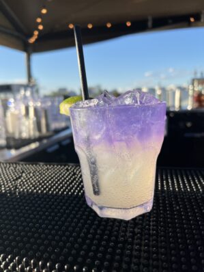 Best Mocktails and Cocktails for Summer